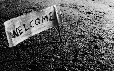 Welcome to Cosmic Web Design